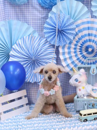 20231105桃果ちゃん